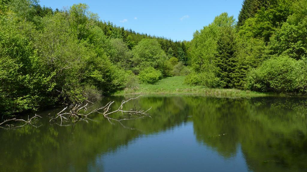 Landidyll Landhaus Liesetal Hallenberg Eksteriør billede