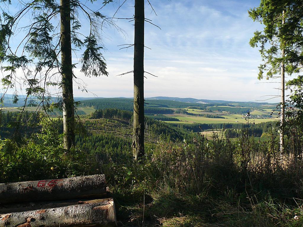 Landidyll Landhaus Liesetal Hallenberg Eksteriør billede