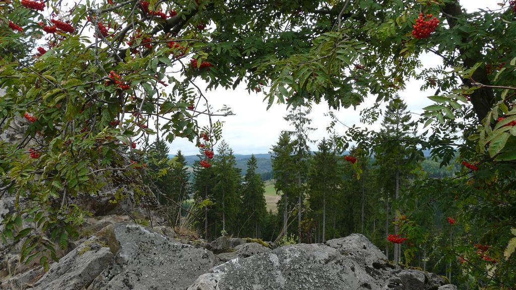 Landidyll Landhaus Liesetal Hallenberg Eksteriør billede